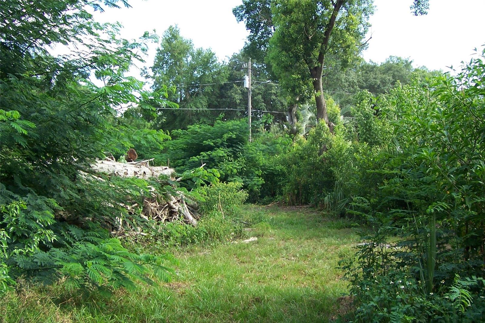 GRANT AVE, EUSTIS, FL — photo 9