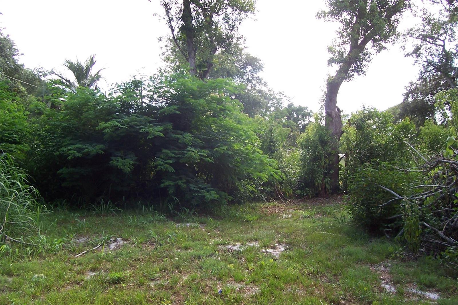 GRANT AVE, EUSTIS, FL — photo 11