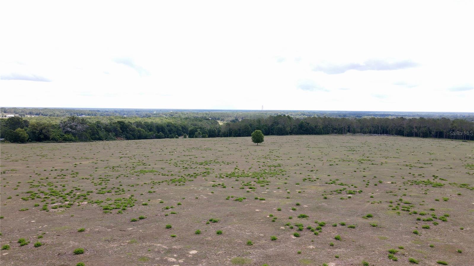 PARRISH GROVE ROAD, DADE CITY, FL — photo 14