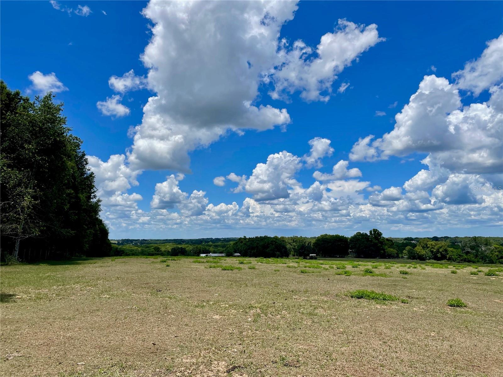 PARRISH GROVE ROAD, DADE CITY, FL — photo 3