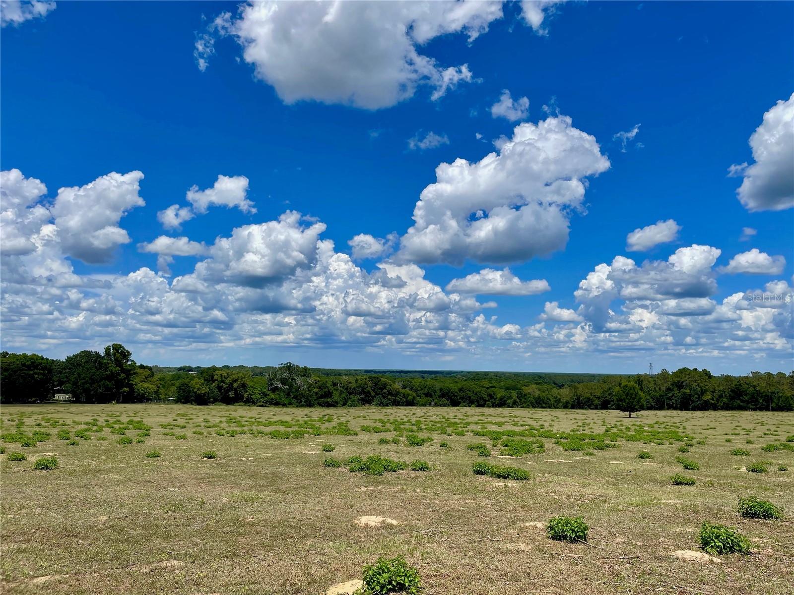 PARRISH GROVE ROAD, DADE CITY, FL — photo 4