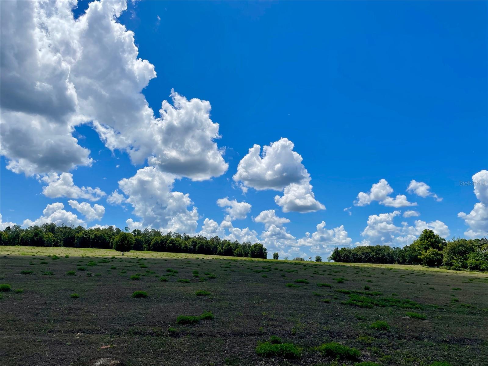 PARRISH GROVE ROAD, DADE CITY, FL — photo 5