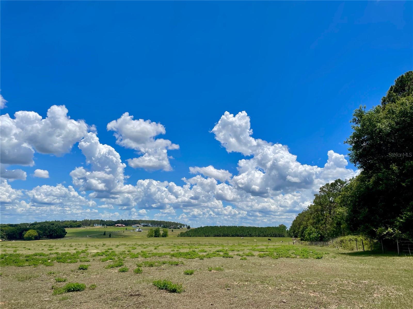 PARRISH GROVE ROAD, DADE CITY, FL — photo 8
