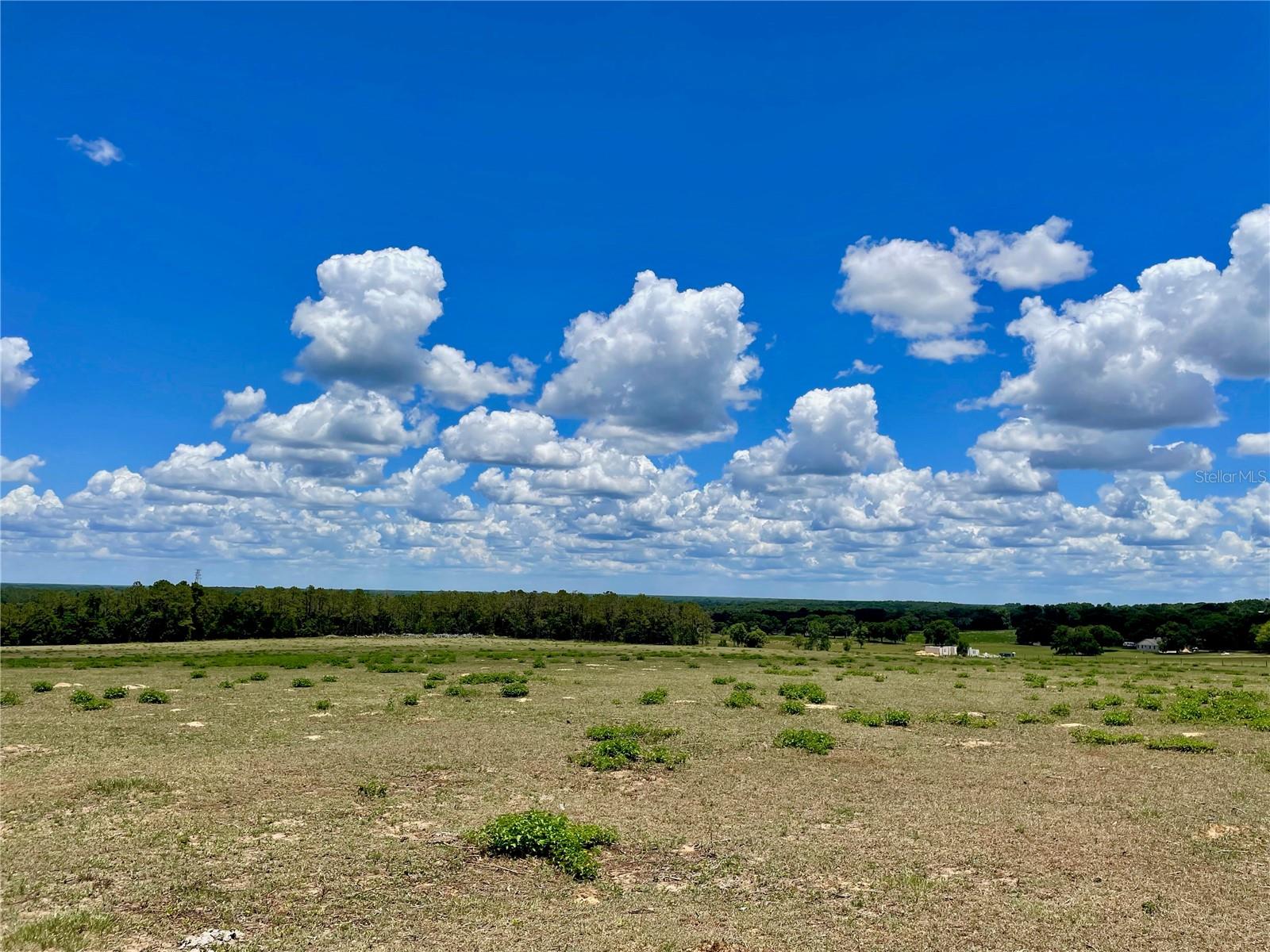 PARRISH GROVE ROAD, DADE CITY, FL — photo 9