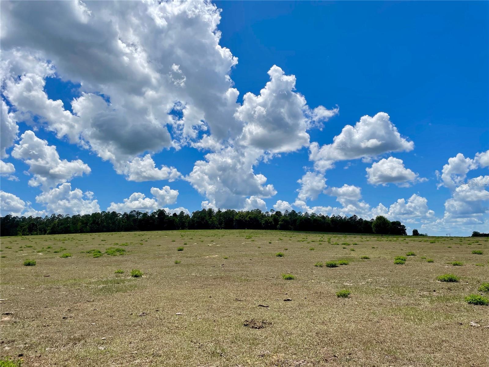 PARRISH GROVE ROAD, DADE CITY, FL — photo 11