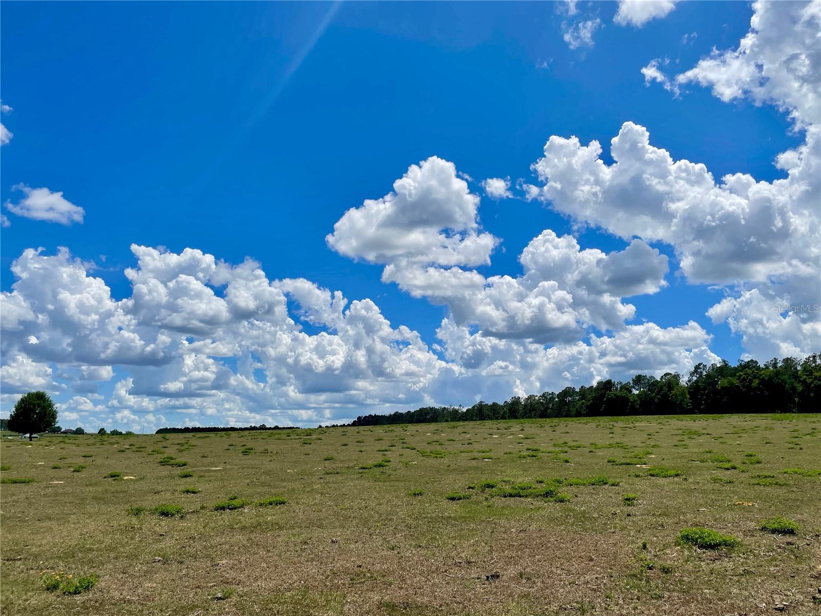 PARRISH GROVE ROAD, DADE CITY, FL — photo 12