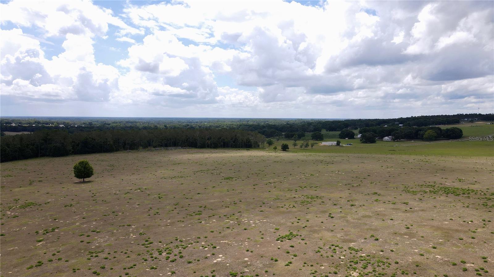 PARRISH GROVE ROAD, DADE CITY, FL — photo 22