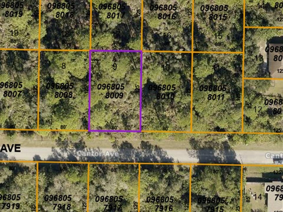 LOT 9 CANTOR AVE, NORTH PORT, FL