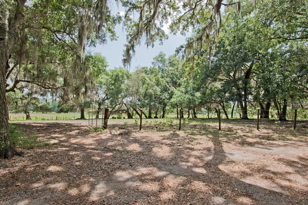 14704 OLD HIGHWAY 50, CLERMONT, FL — photo 17