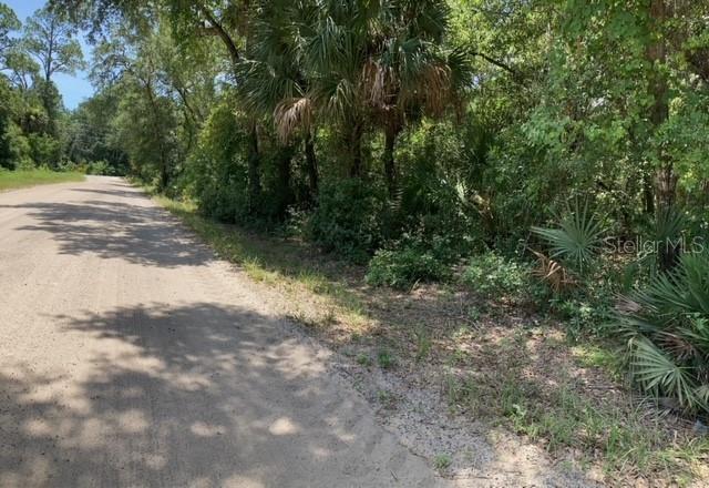 15820 WILSON PARRISH RD, UMATILLA, FL — photo 15