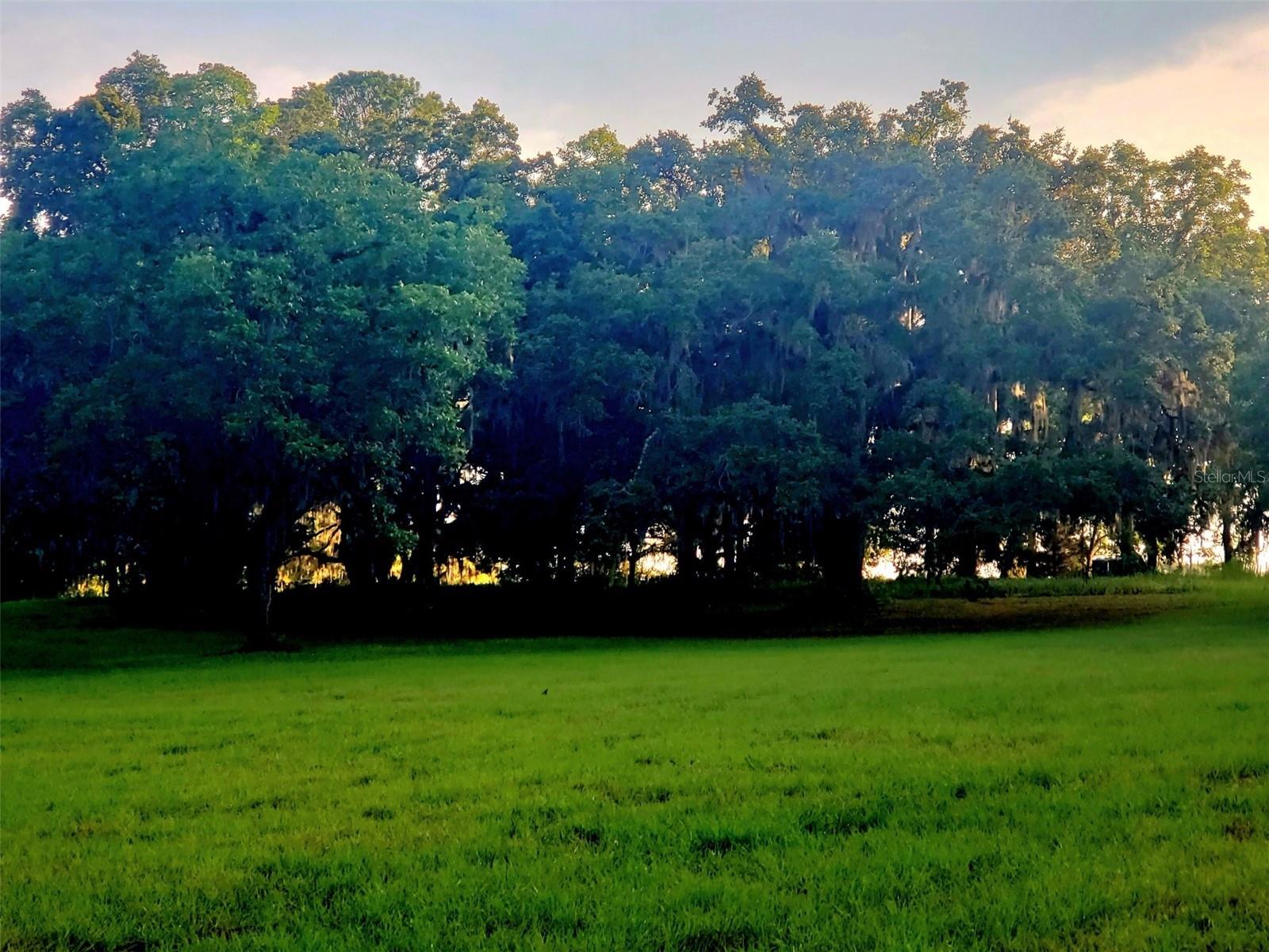 1077 SW 144TH COURT RD, OCALA, FL
