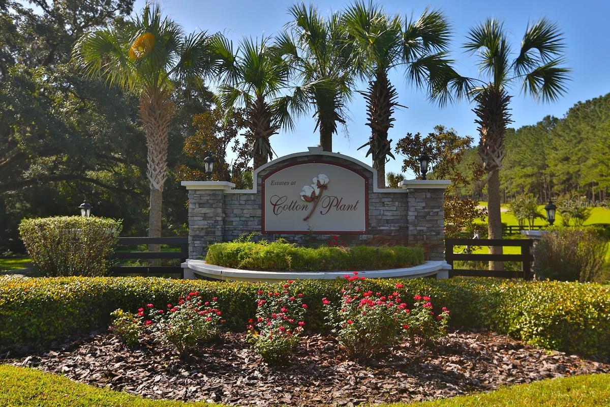 1077 SW 144TH COURT RD, OCALA, FL — photo 11