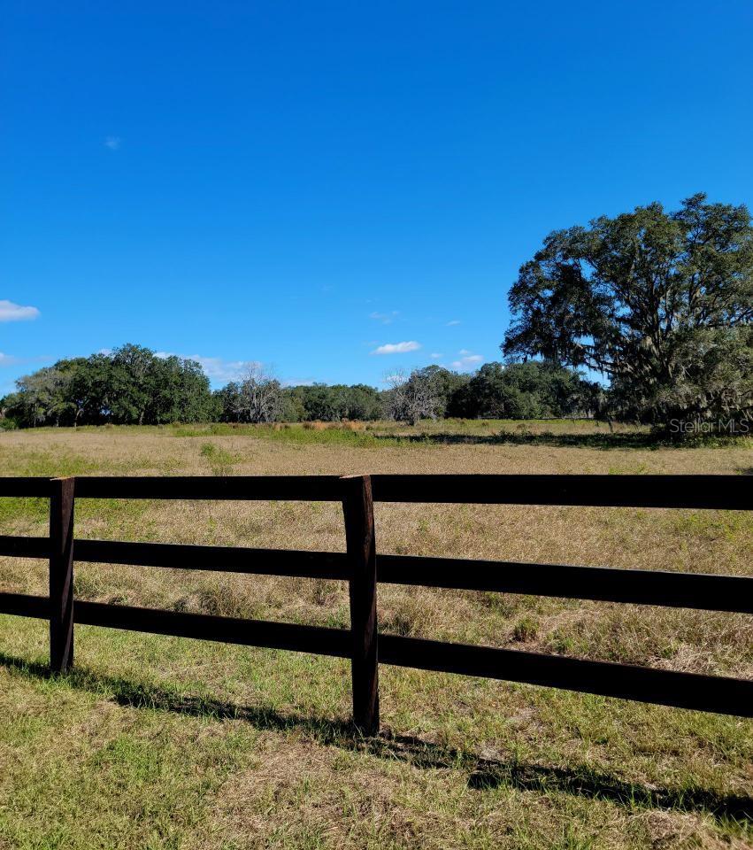 1077 SW 144TH COURT RD, OCALA, FL — photo 14