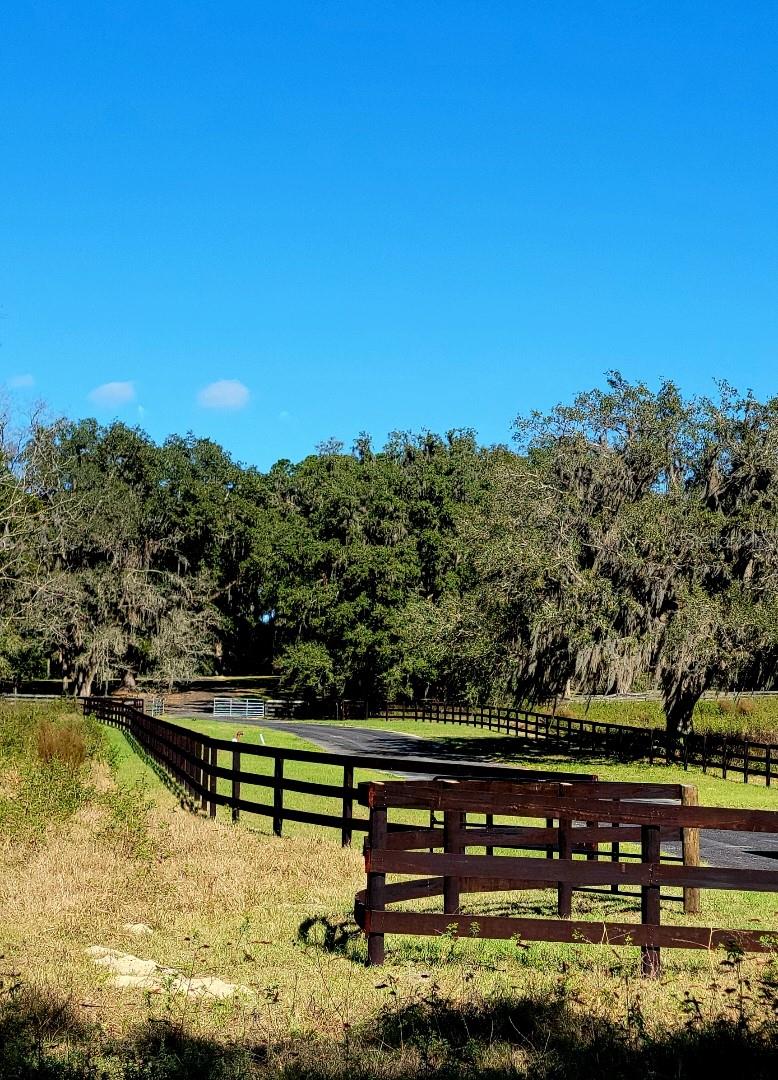 1077 SW 144TH COURT RD, OCALA, FL — photo 19