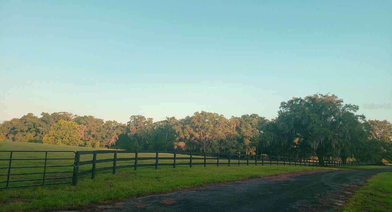 1077 SW 144TH COURT RD, OCALA, FL — photo 23