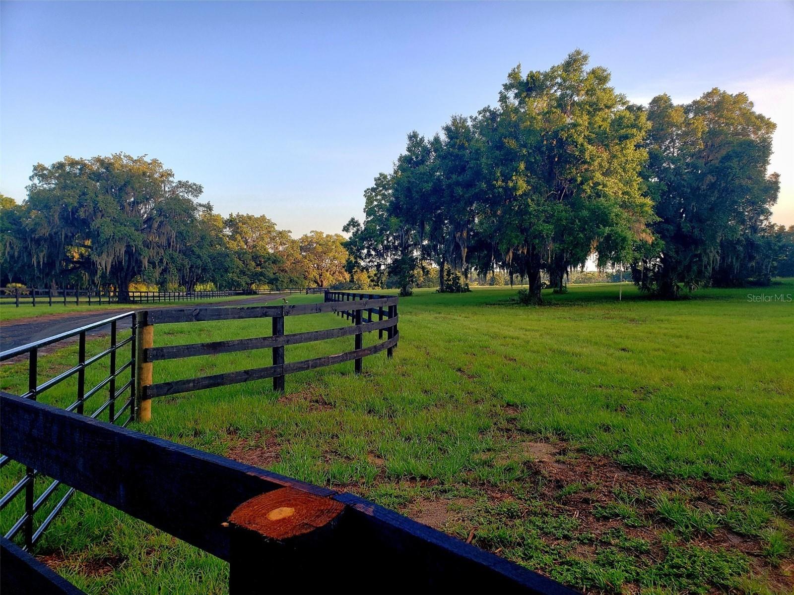 1077 SW 144TH COURT RD, OCALA, FL — photo 26