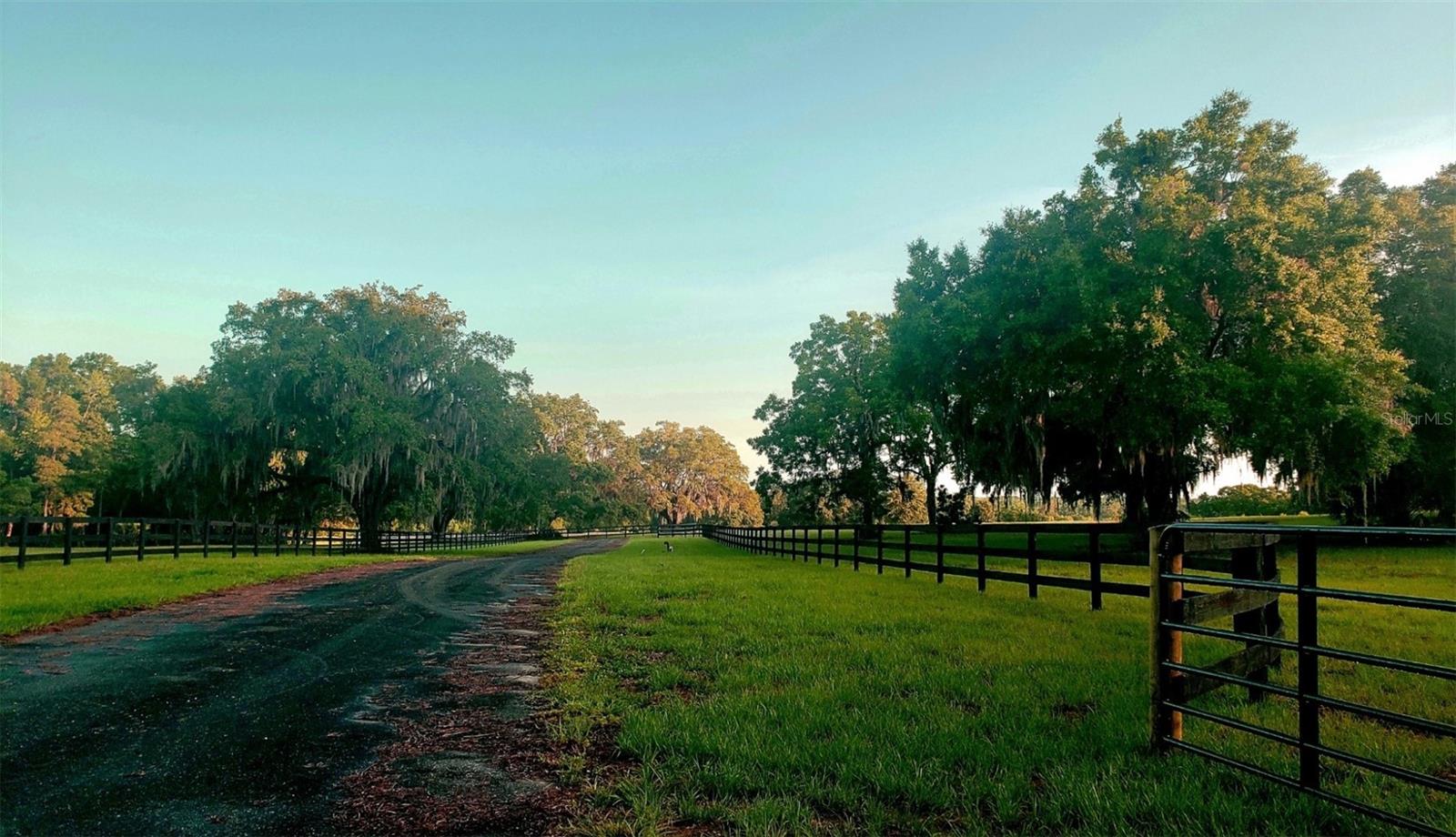 1077 SW 144TH COURT RD, OCALA, FL — photo 27