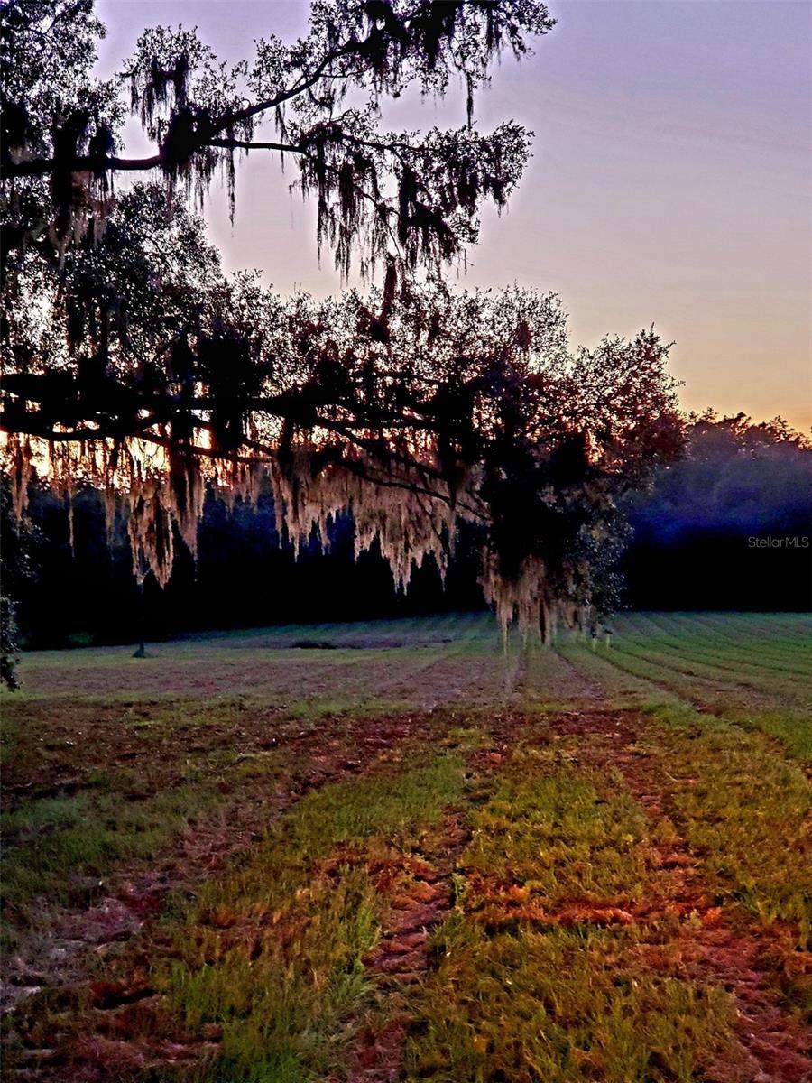 1077 SW 144TH COURT RD, OCALA, FL — photo 41