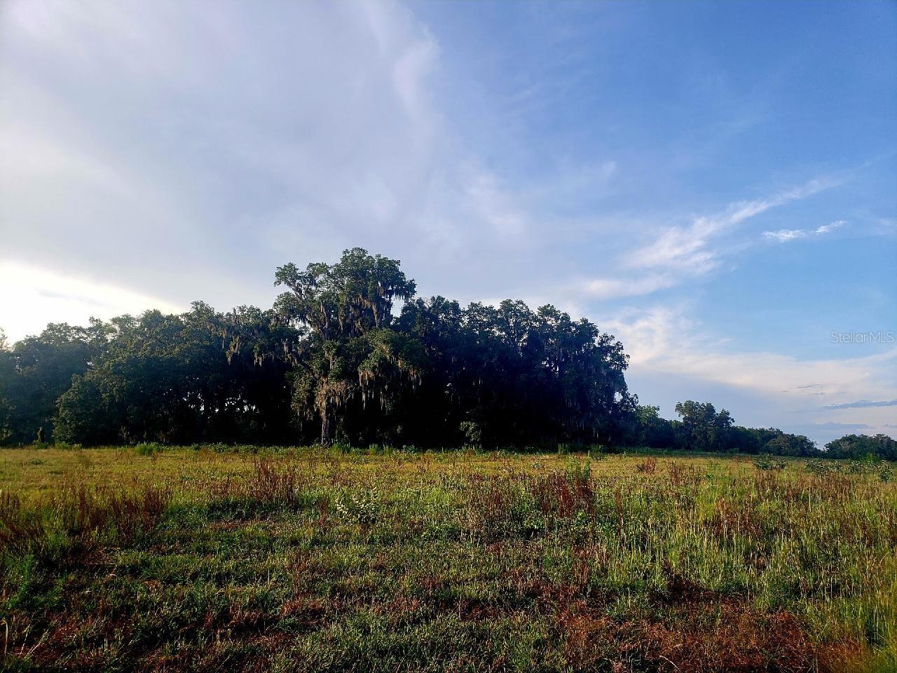 1077 SW 144TH COURT RD, OCALA, FL — photo 44