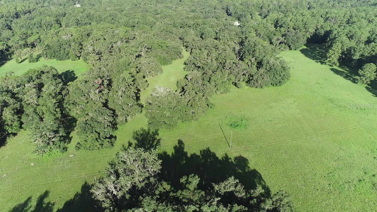 1077 SW 144TH COURT RD, OCALA, FL — photo 59