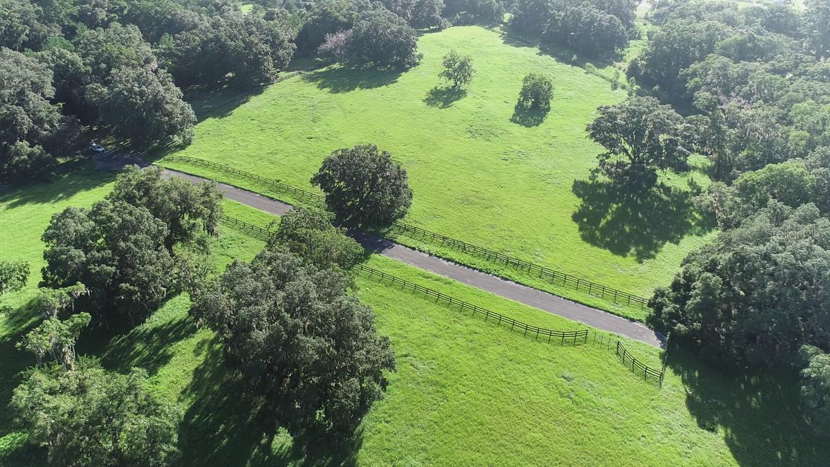 1077 SW 144TH COURT RD, OCALA, FL — photo 71
