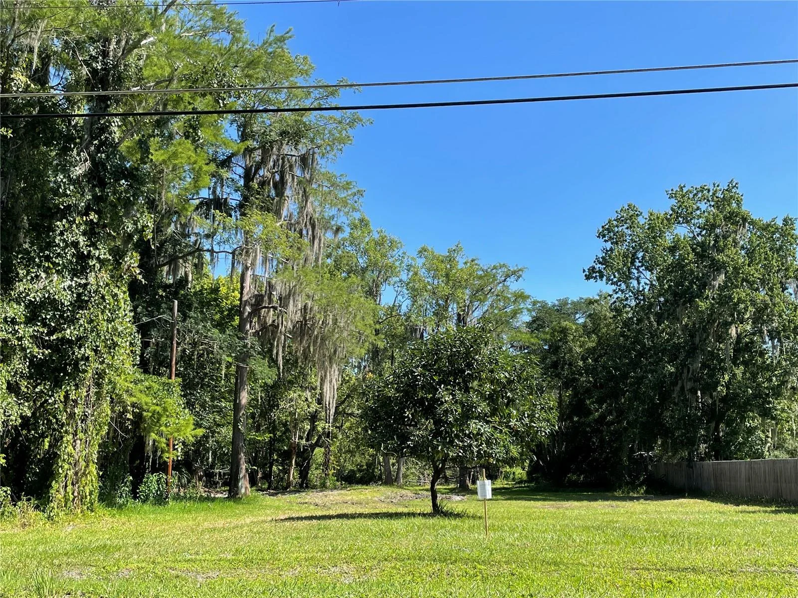 16415 BEARLE RD, ORLANDO, FL — photo 2