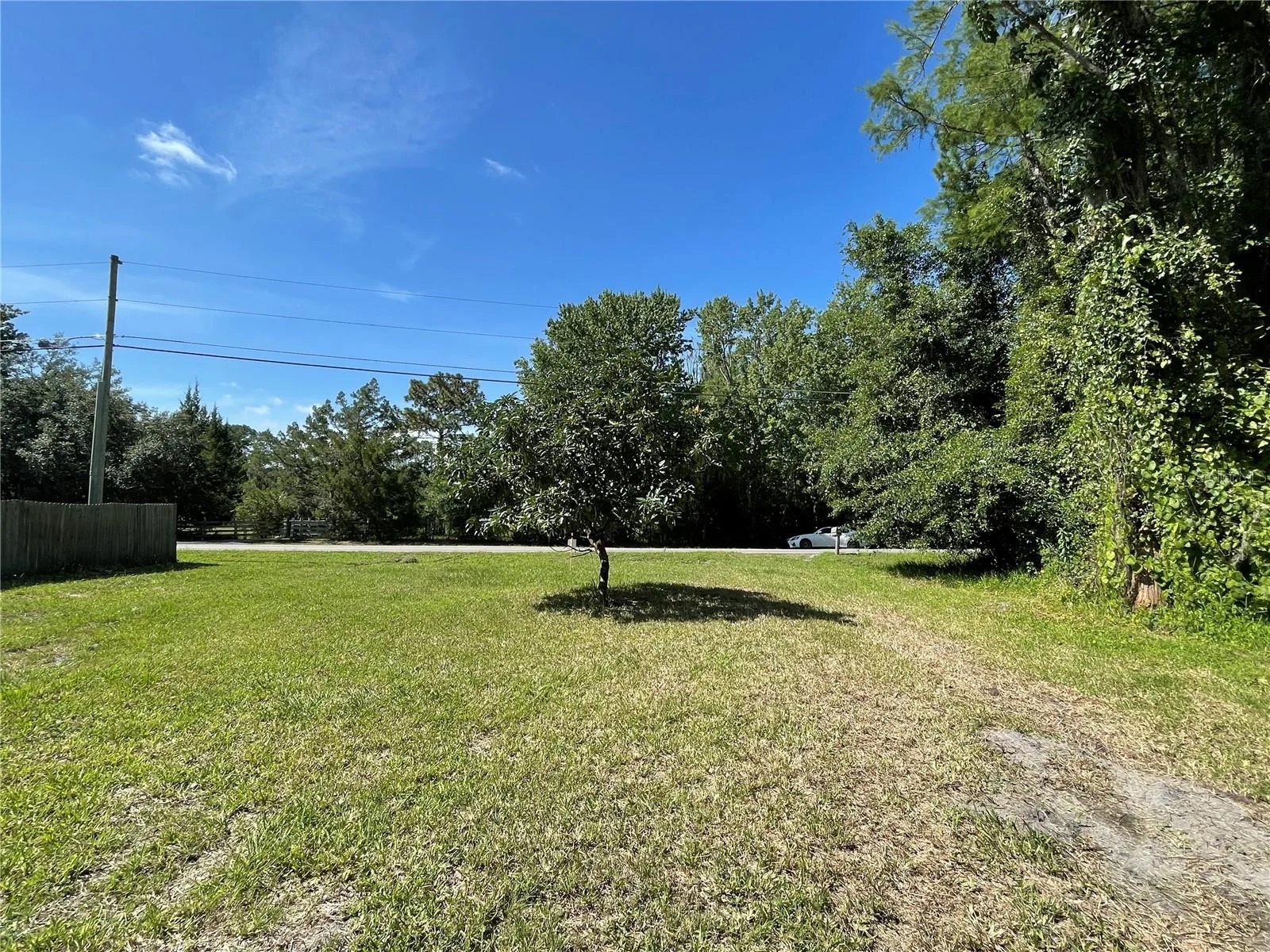 16415 BEARLE RD, ORLANDO, FL — photo 4