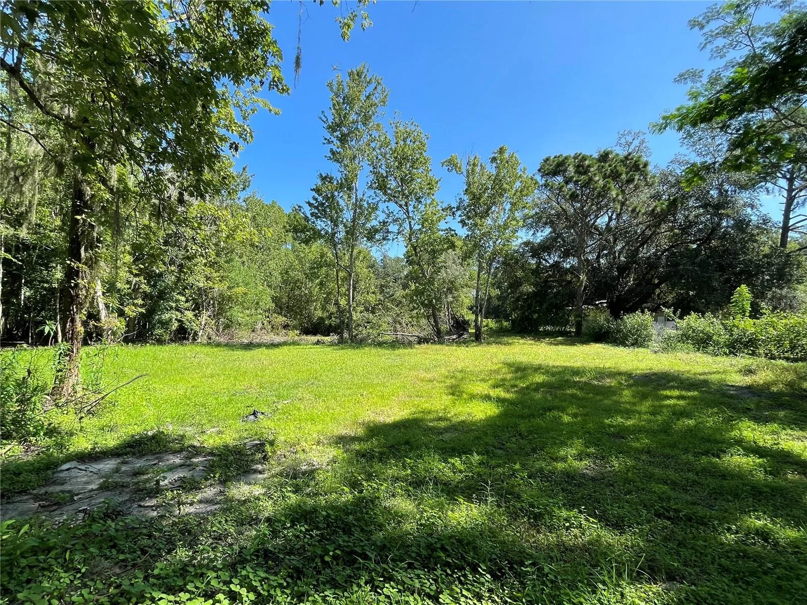 16415 BEARLE RD, ORLANDO, FL — photo 6