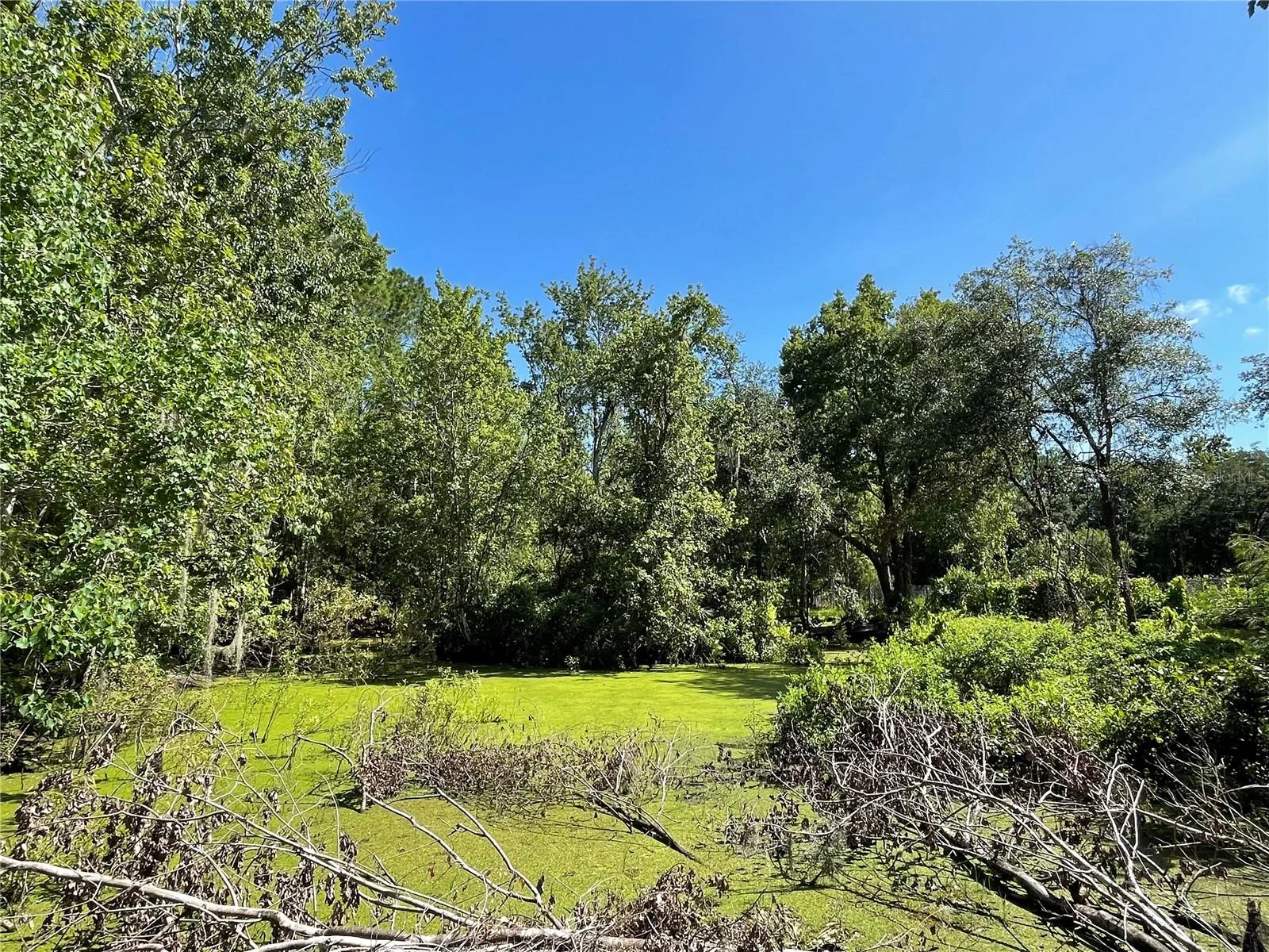 16415 BEARLE RD, ORLANDO, FL — photo 10