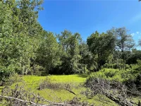 16415 BEARLE RD — photo 10