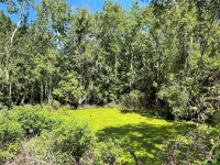 16415 BEARLE RD — photo 11