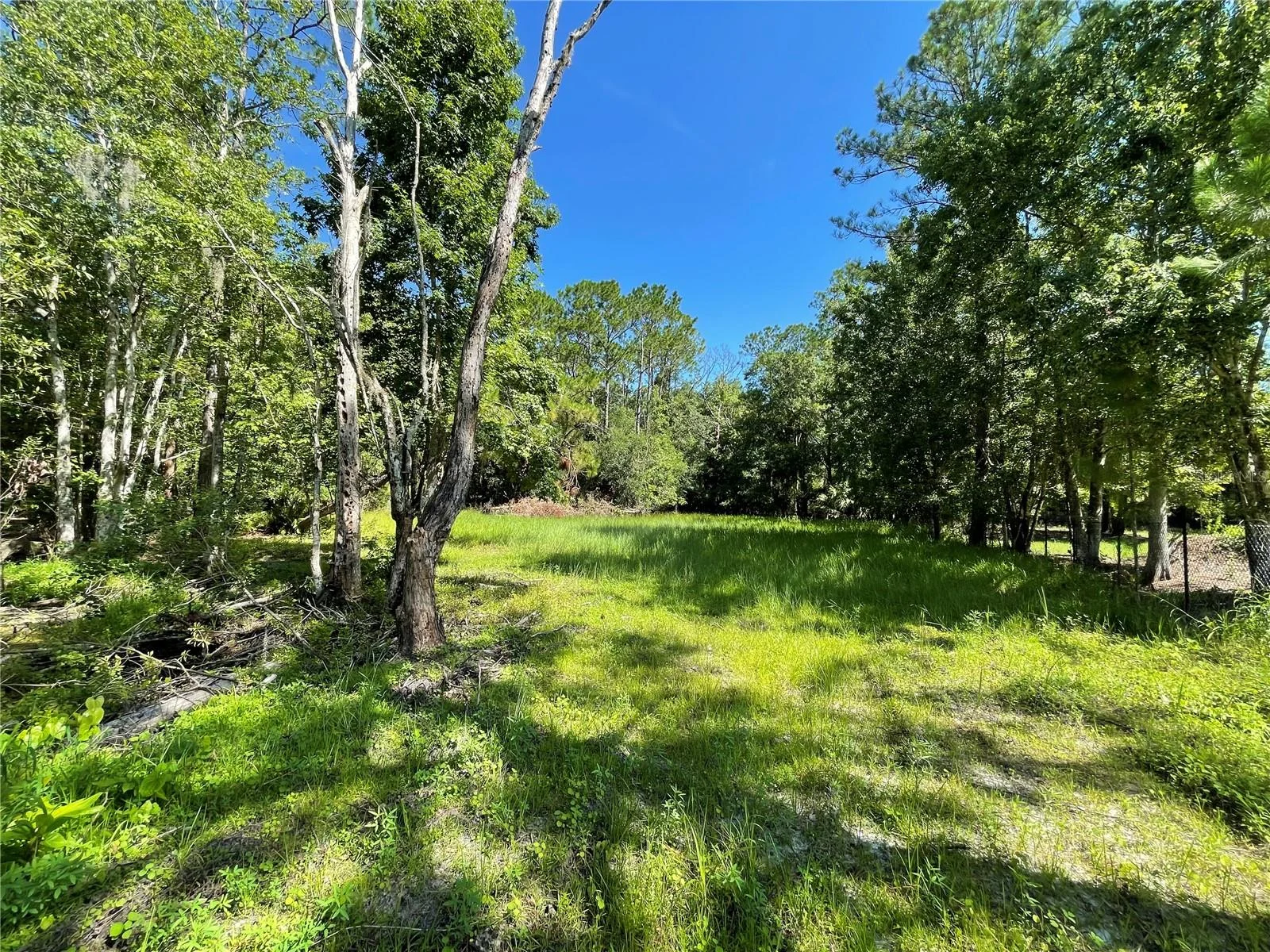 16415 BEARLE RD, ORLANDO, FL — photo 14