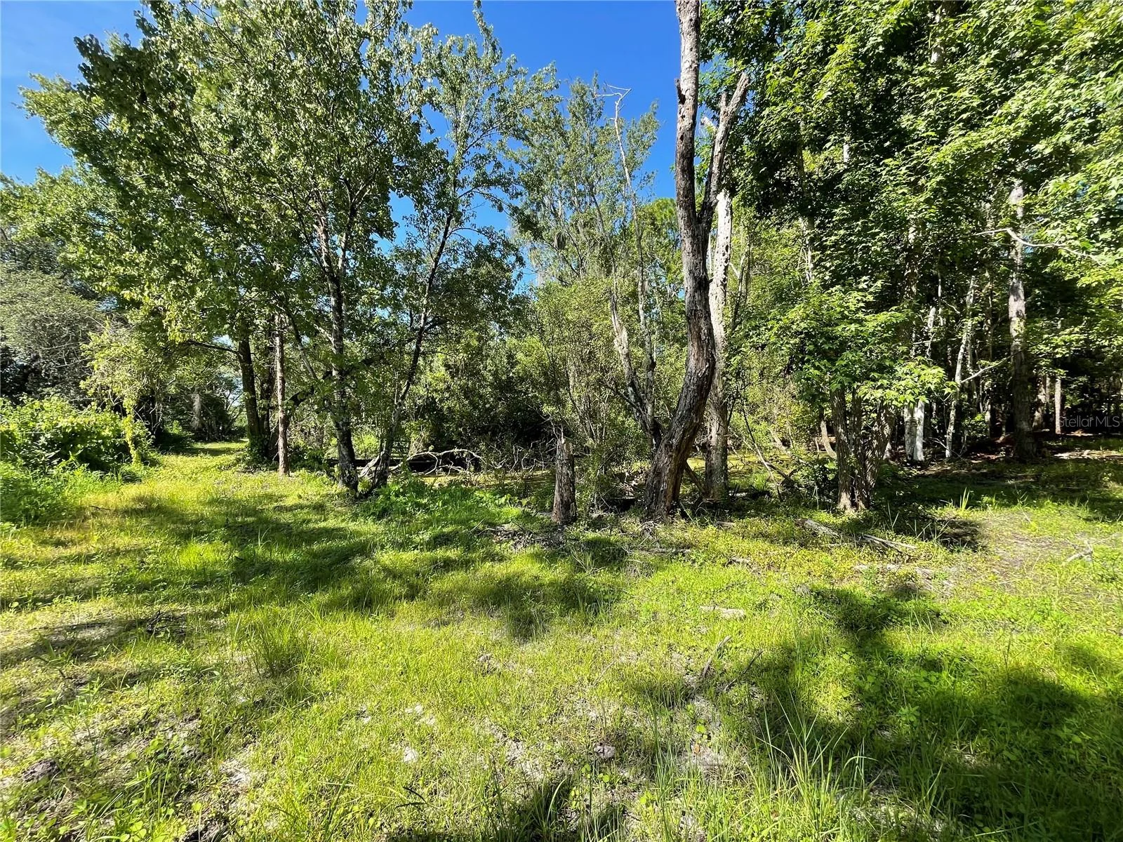 16415 BEARLE RD, ORLANDO, FL — photo 16