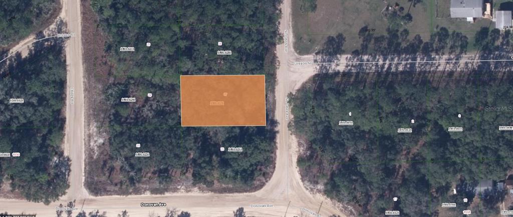 103 ST JOHNS AVE, INTERLACHEN, FL