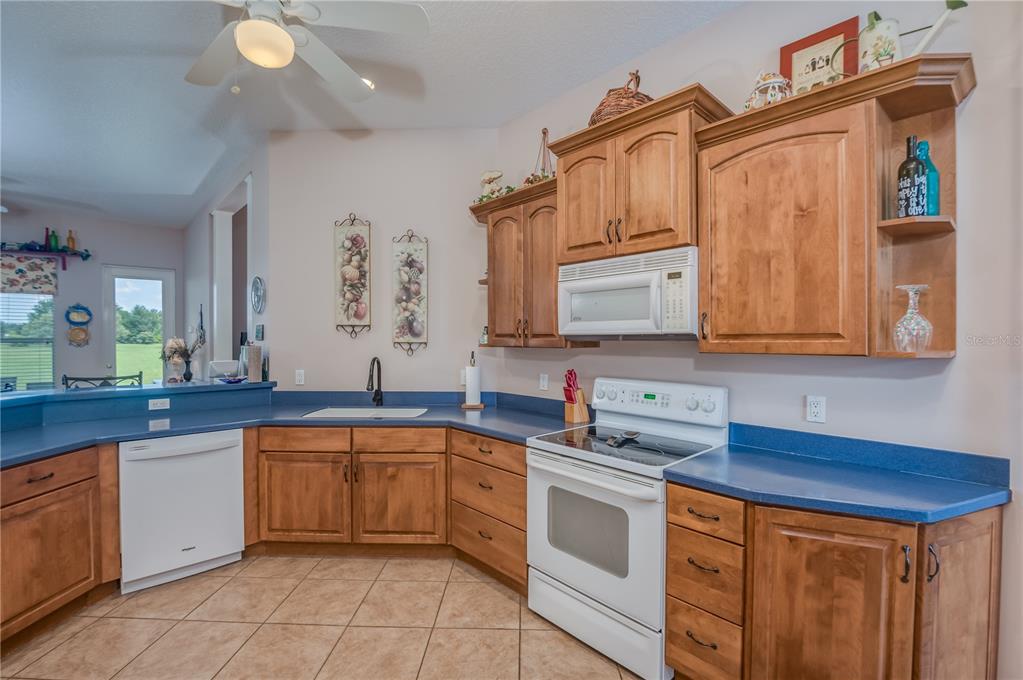 5851 EFFIE DR, APOPKA, FL — photo 12