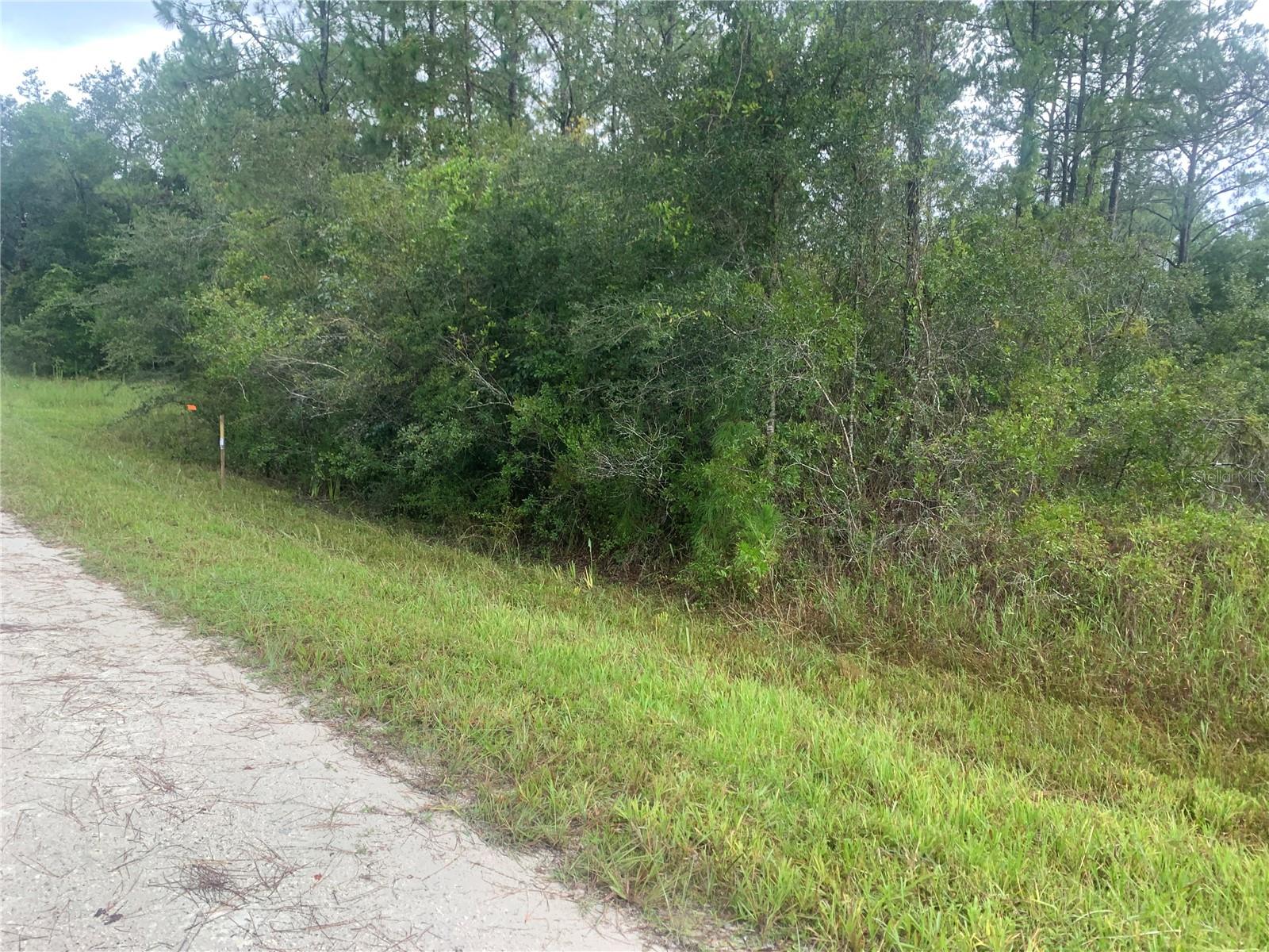 TBD OTTER DR #LOT 44, WEBSTER, FL — photo 2