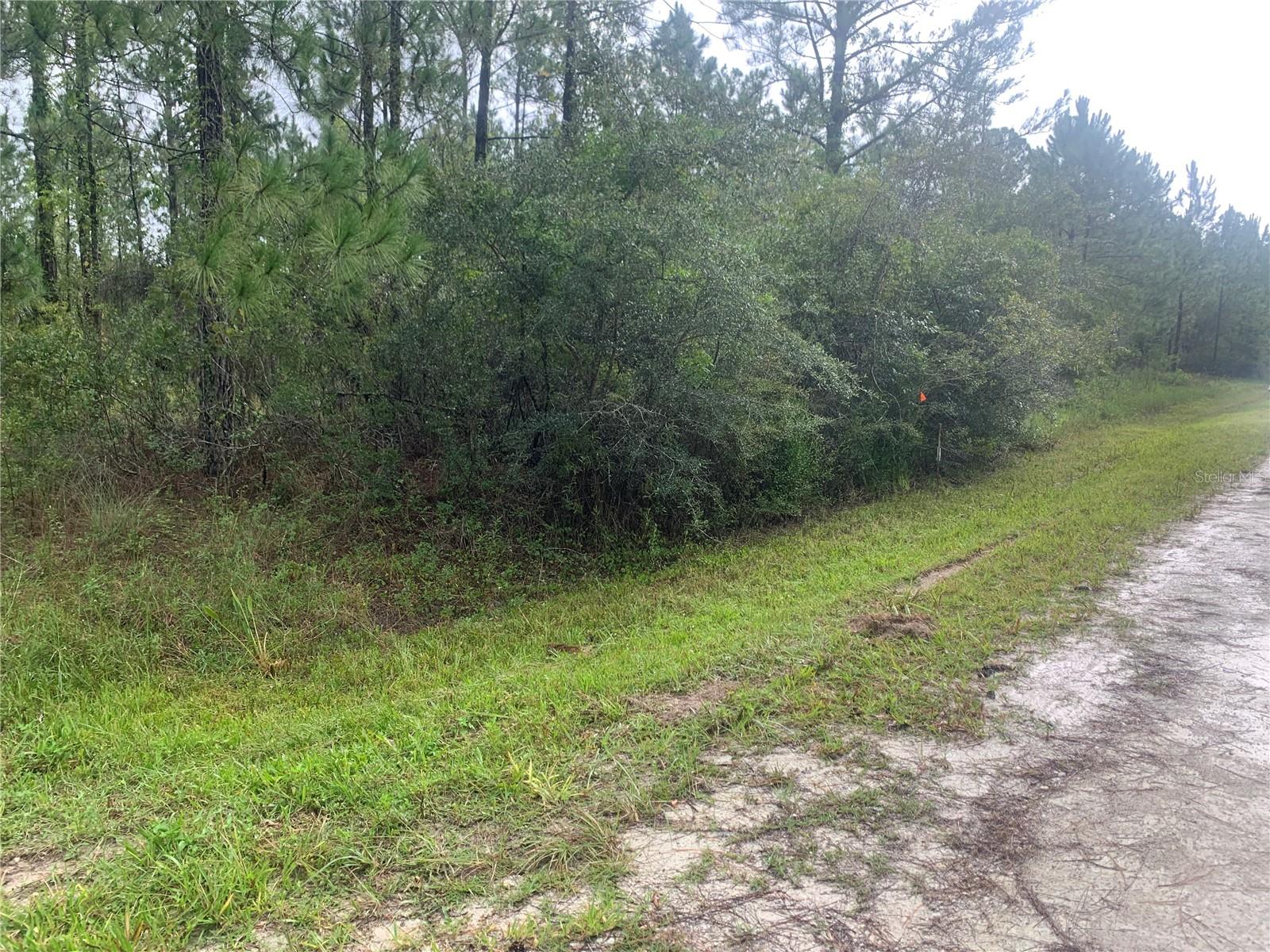 TBD OTTER DR #LOT 44, WEBSTER, FL — photo 3