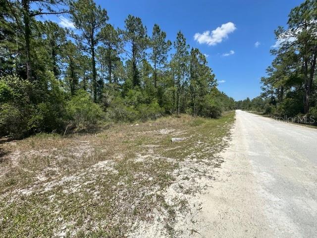 TBD OTTER DR #LOT 44, WEBSTER, FL