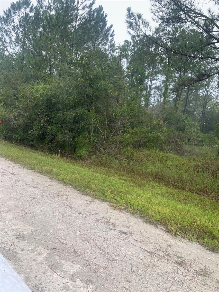 TBD OTTER DR #LOT 44, WEBSTER, FL — photo 6