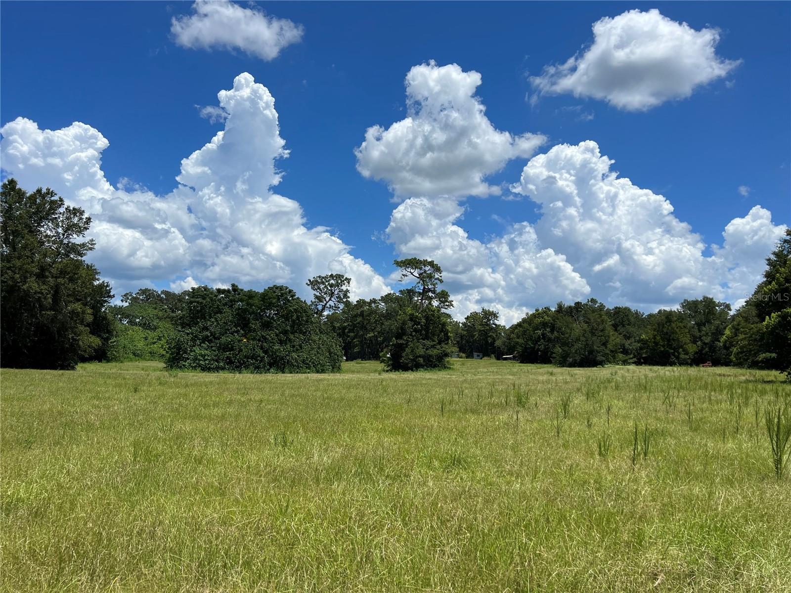 5500 SE 24TH ST, OCALA, FL — photo 3