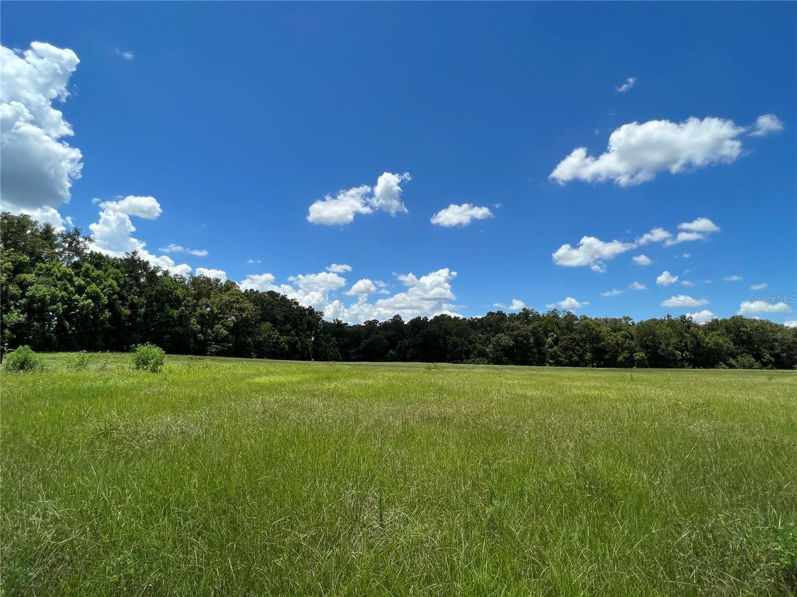 5500 SE 24TH ST, OCALA, FL — photo 7