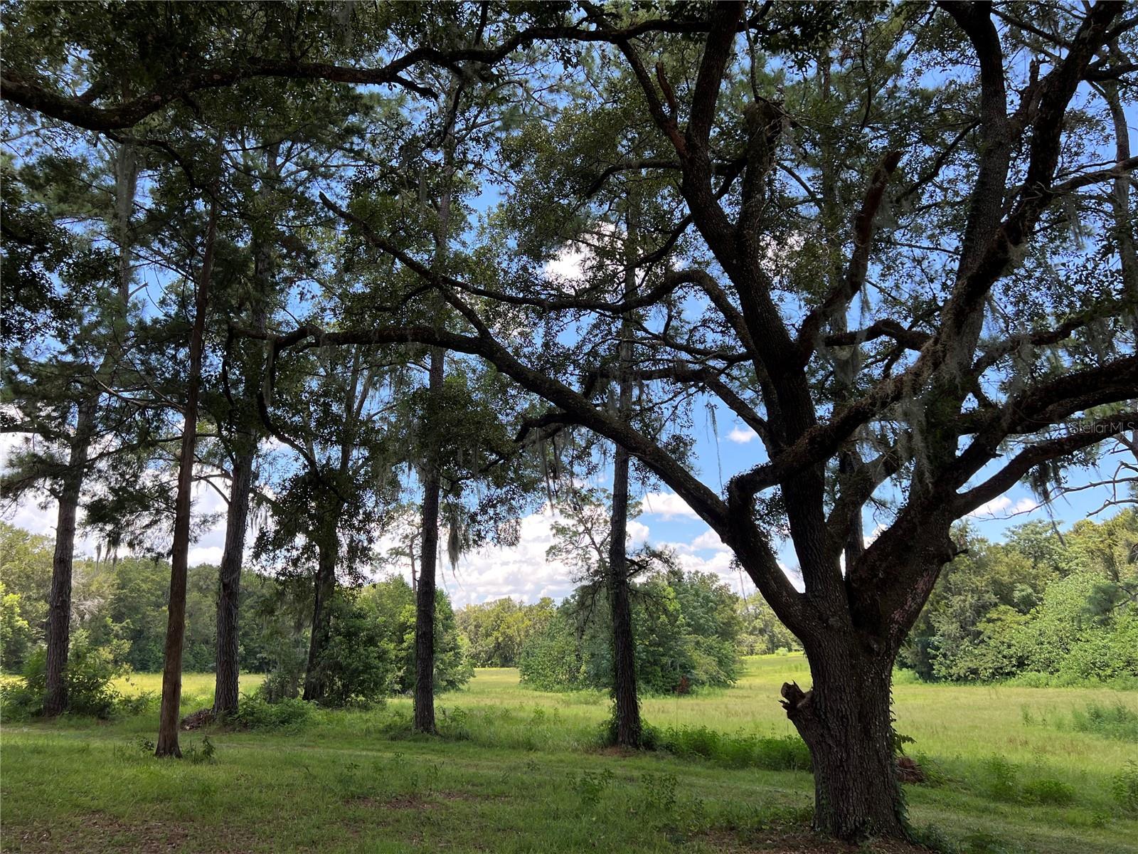 5500 SE 24TH ST, OCALA, FL