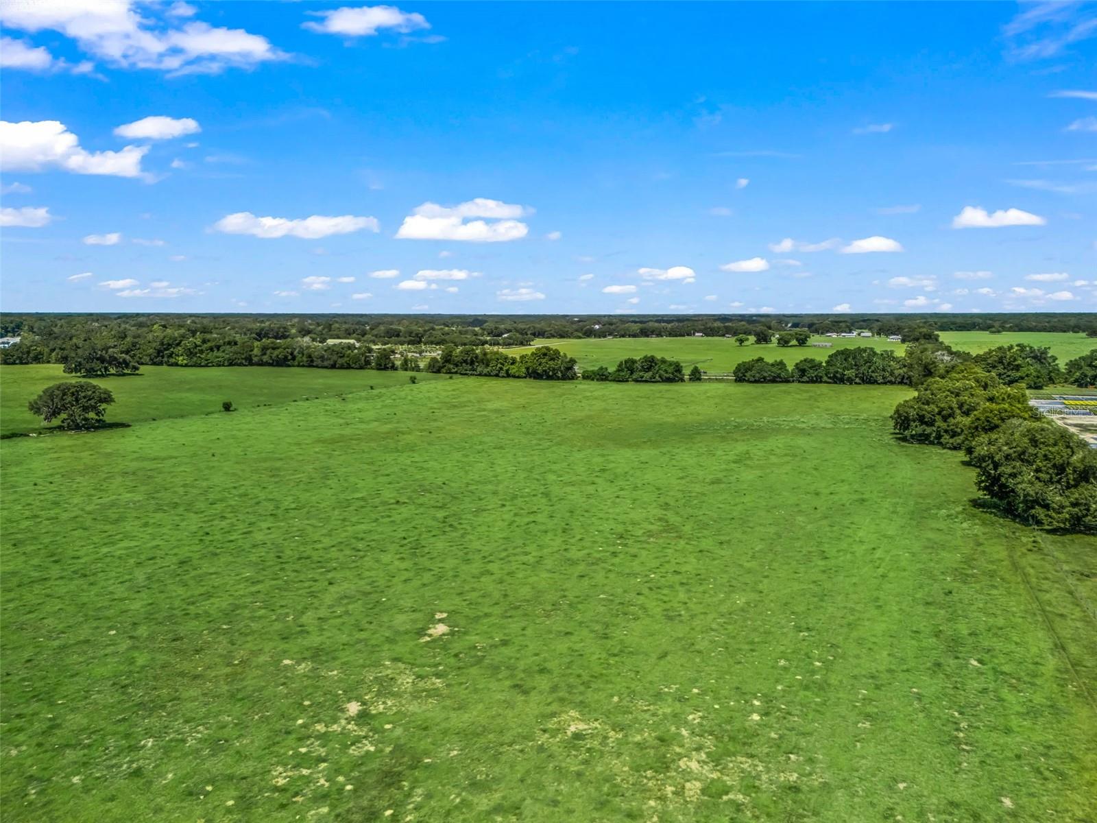 12604 COUNTY ROAD 103, OXFORD, FL — photo 2