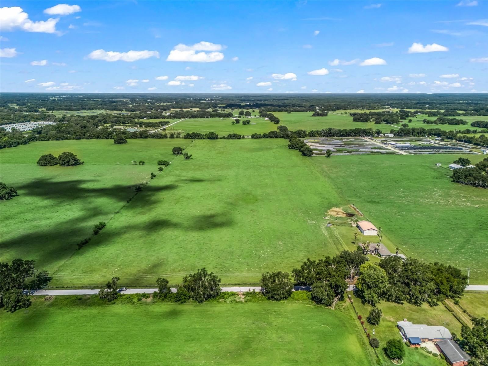 12604 COUNTY ROAD 103, OXFORD, FL — photo 9