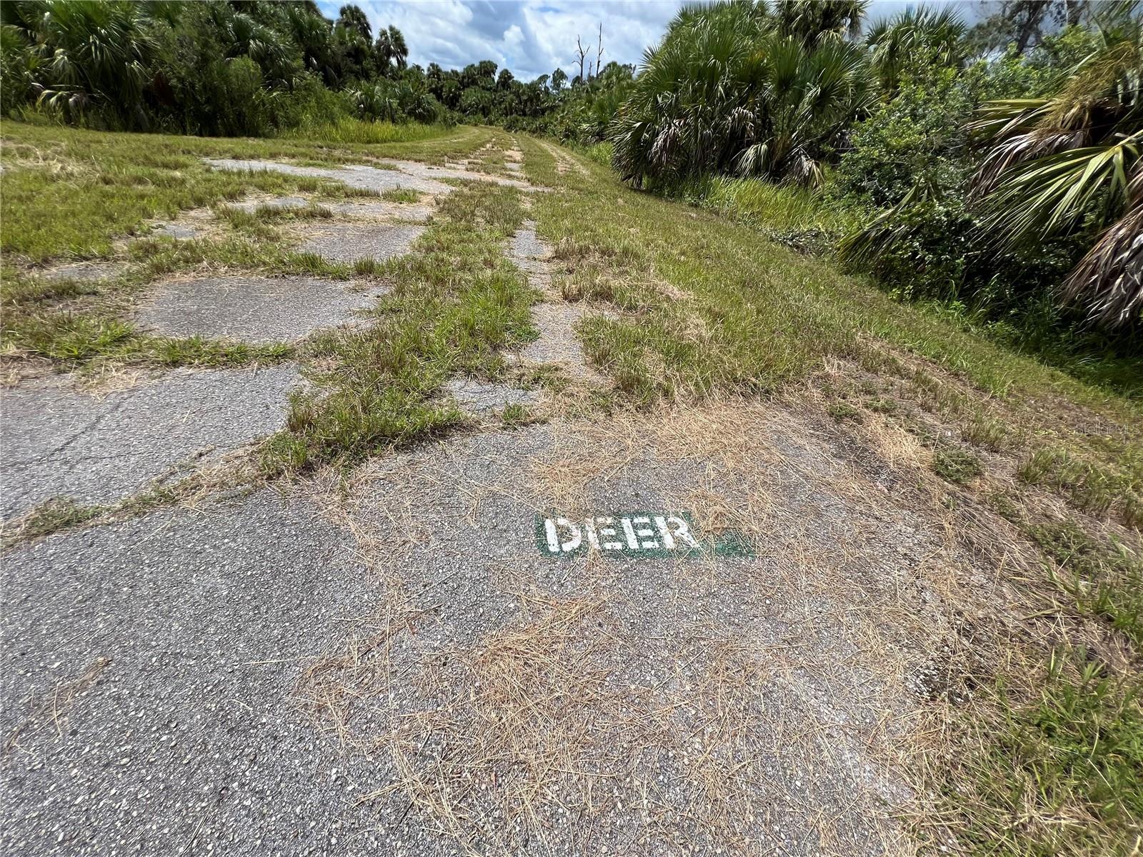 0 DEER PL, NORTH PORT, FL — photo 3
