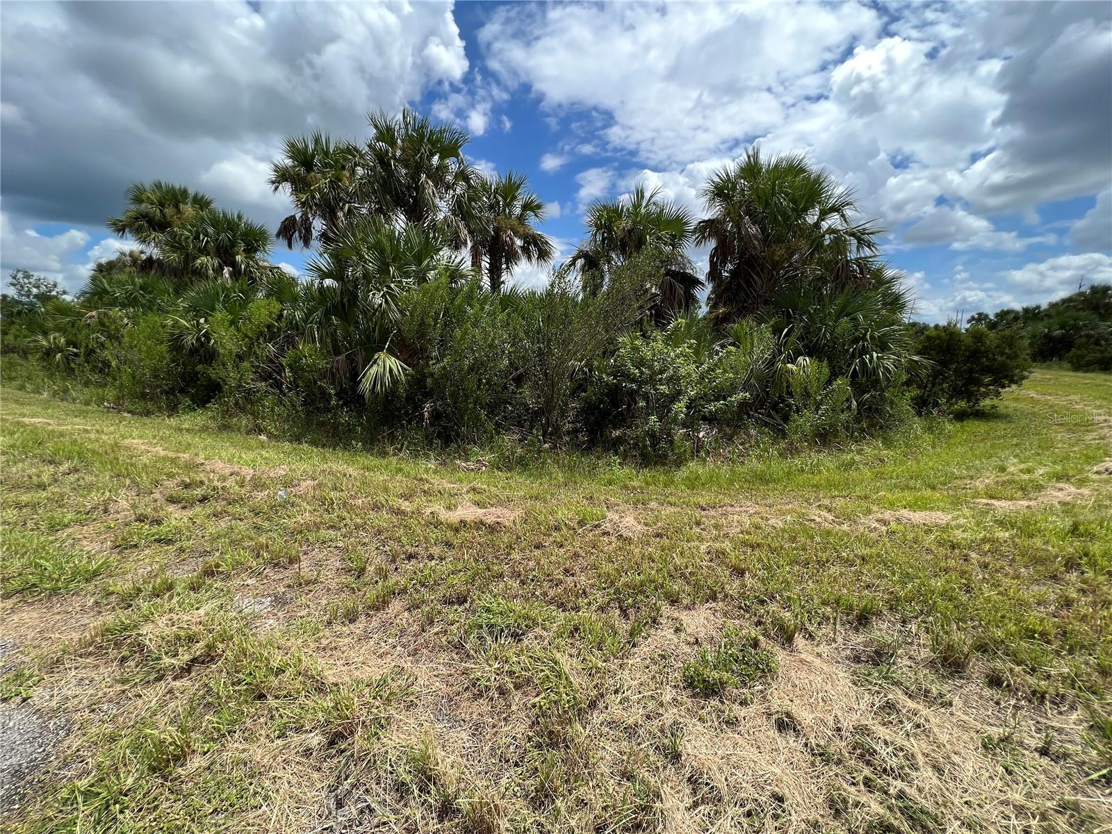 0 DEER PL, NORTH PORT, FL — photo 30