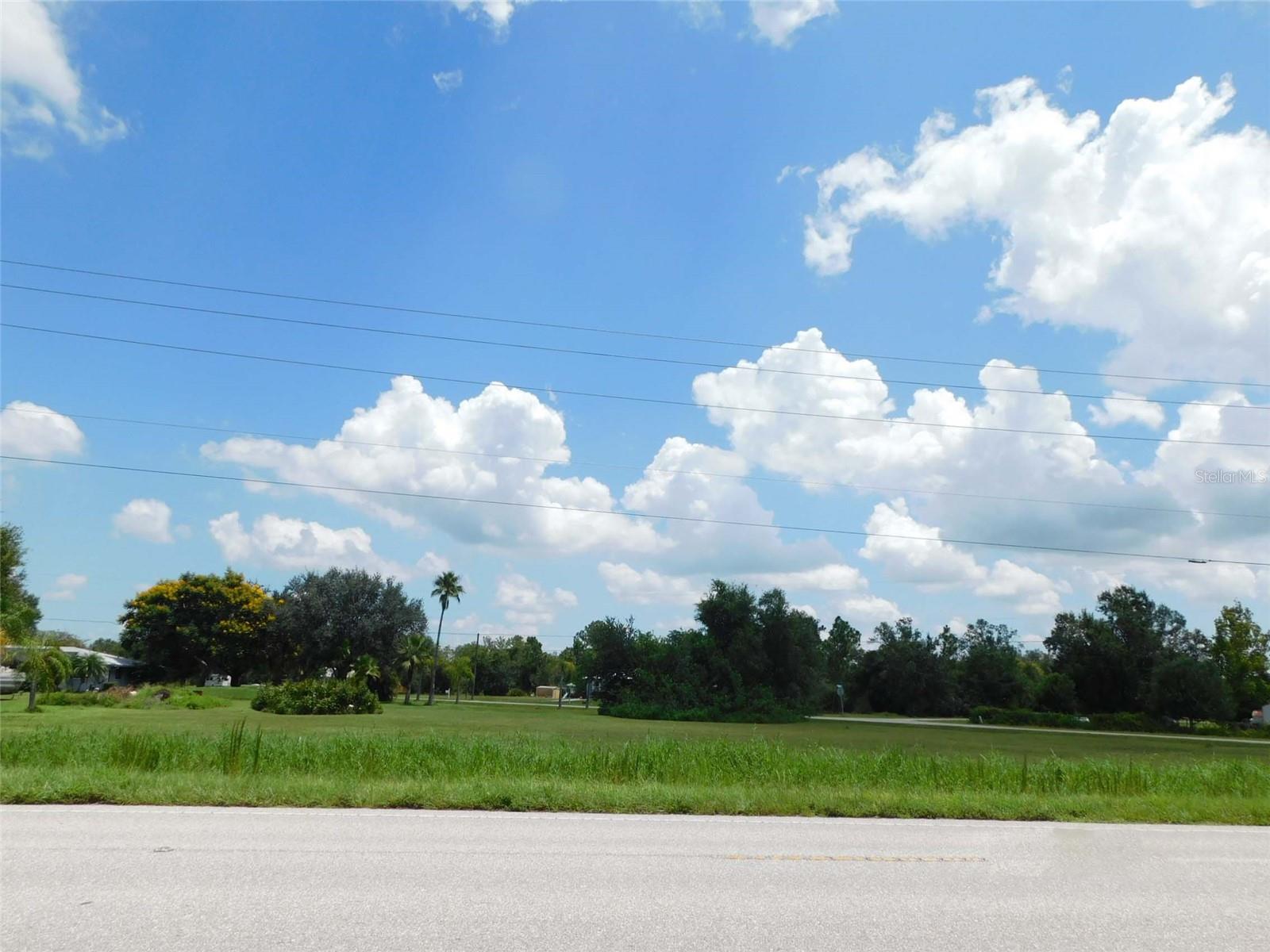 10099 SW KISSIMMEE RD, ARCADIA, FL — photo 11