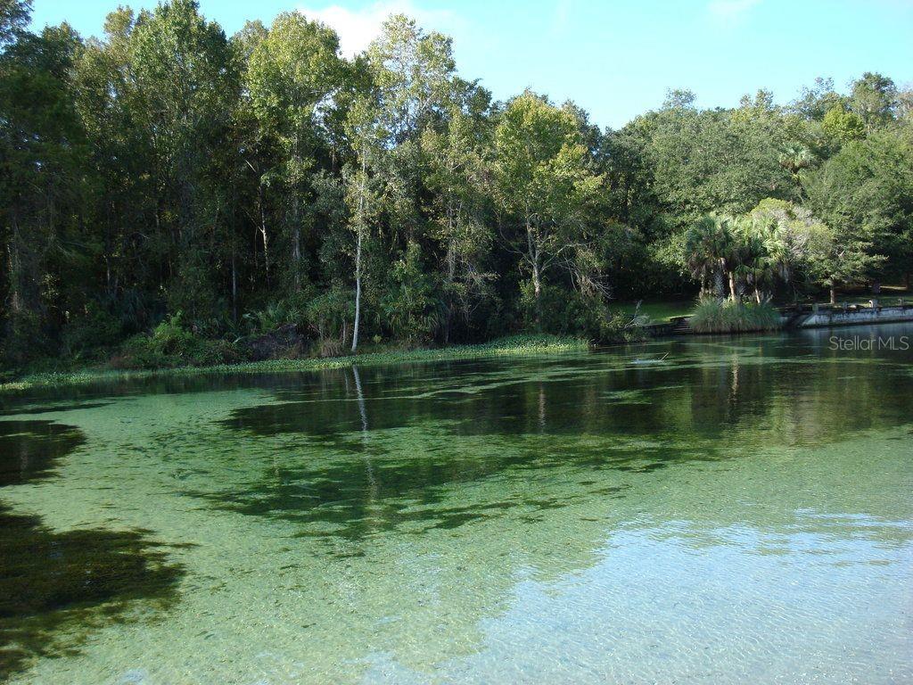 TBD 155TH LN, FORT MC COY, FL — photo 7