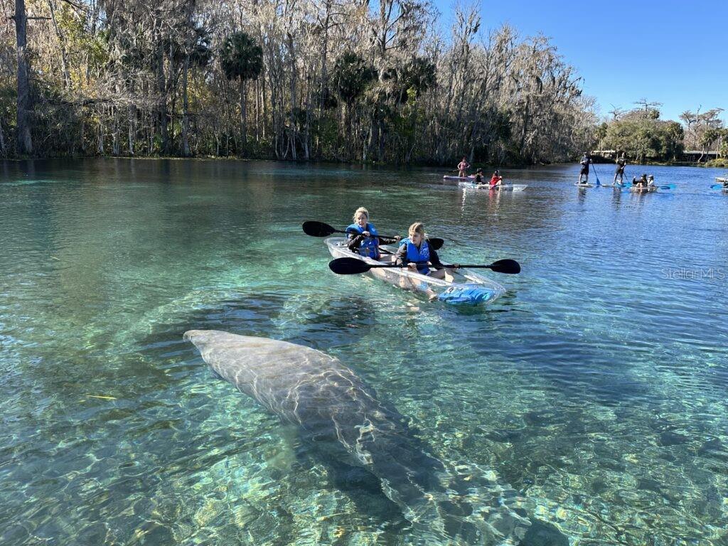 TBD 155TH LN, FORT MC COY, FL — photo 8