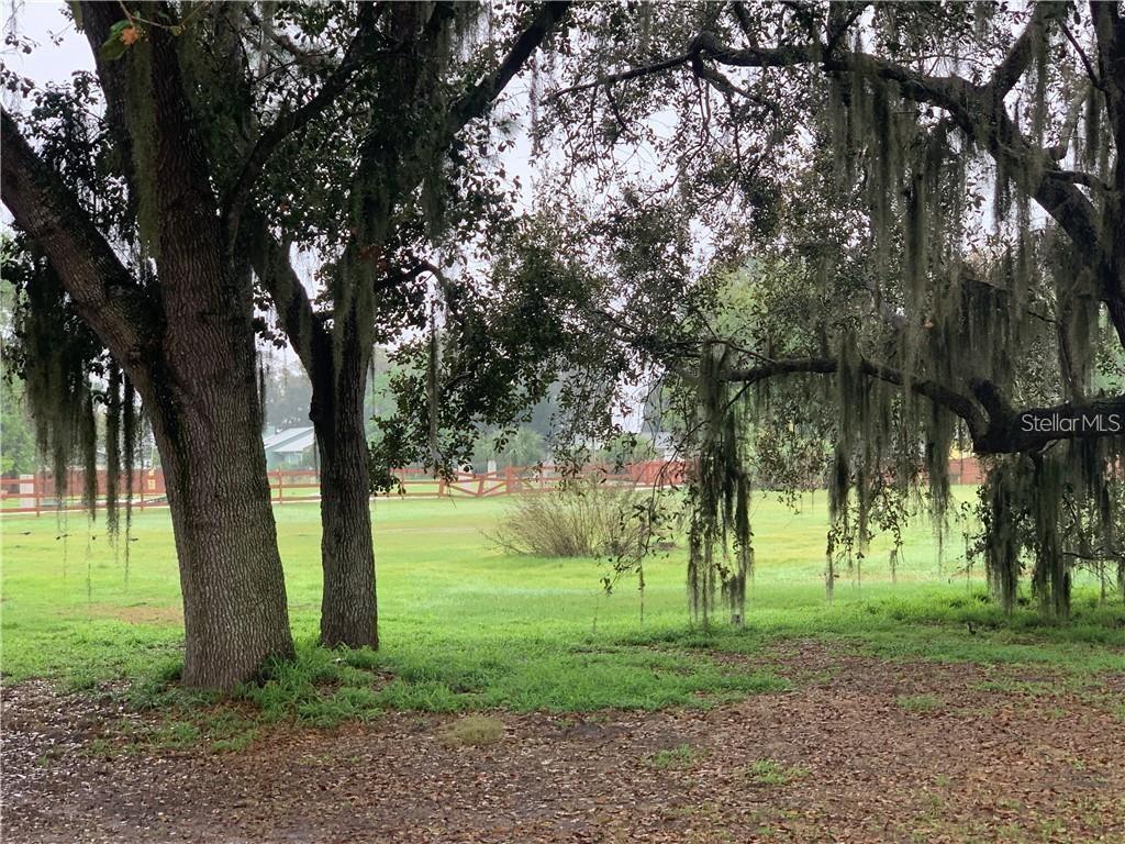 MARJORIE RD, ST CLOUD, FL — photo 4